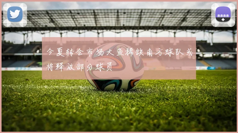 今夏转会市场大鱼稀缺南方球队或将释放部分球员